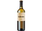 Valdecuevas Sauvignon Blanc, Rueda DO, Kastilien - León, 2024, Weißwein