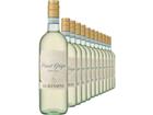 2024 Albinoni Pinot Grigio im 12er-Vorratspaket
