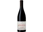 Saumur Rouge 2022 - Clos de l Écotard