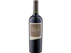 Bodegas Staphyle Vastago de Gea Bonarda Jg. 2021