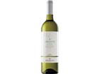 M.Torres Celeste Verdejo Jg. 2024