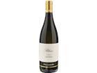 Pio Cesare Sauvignon Blanc Langhe DOC - 2023 - Piemont, Italien