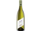 Pfaffl Gruener Veltliner Weinviertel Haiden DAC Jg. 2024