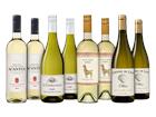 Kellerpaket Sauvignon Blanc - die Weinbörse