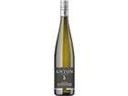 Matthias Anton Spätburgunder Blanc de Noir, Feinherb, Pfalz, Pfalz, 2023, Weißwein