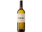 Valdecuevas Sauvignon Blanc Rueda DO - 2024 - Duero-Tal (Castilla y Leon), Spanien