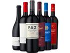 6er-Probierpaket »Argentinien & Chile«