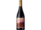 Brisa de Verano Garnacha, Campo de Borja DO, Campo de Borja, 2024, Rotwein