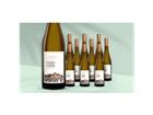 Varzea Do Morão Vinho Verde 2024 7.5L 8.5% Vol. Weinpaket aus Spanien