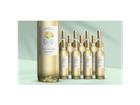 Intuición Chardonnay 2024 9L 13% Vol. Weinpaket aus Spanien
