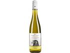 Sauvignon Blanc, Trocken, Baden, Baden, 2024, Weißwein