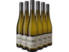 Weingut Faubel Beautiful Since 1904 Sauvignon Blanc-Paket