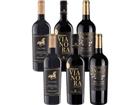 6er-Paket Primitivo-Champions - Weinpakete