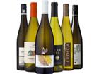 6er-Probierpaket »Weißweine zum Anstoßen«
