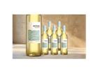 Mirum Chardonnay 2024 4.5L 13% Vol. Weinpaket aus Spanien