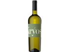 Garibaldi Kryos Bianco Toscana IGT Vini Garibaldi - 2024 - Toskana, Italien