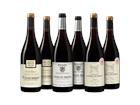 Rhône-Weinpaket - die Weinbörse