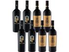 8er-Paket Primitivo Champions - Weinpakete aus Italien