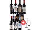 10er-Paket Weine des Jahres + GRATIS Schott-Zwiesel Gläser - Weinpakete