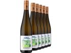 2023 Müller »3 Haberer« Grüner Veltliner im 6er-Vorratspaket