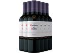 2023 Casillero del Diablo Reserva Merlot im 6er-Vorratspaket