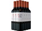 2023 Casillero del Diablo Reserva Carmenere im 6er-Vorratspaket