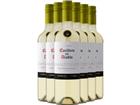 2025 Casillero del Diablo Reserva Sauvignon Blanc im 6er-Vorratspaket