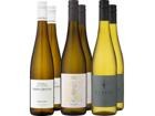 6er-Probierpaket »Best of Riesling«