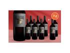 El Litro Tempranillo 2025 9L 13.5% Vol. Weinpaket aus Spanien