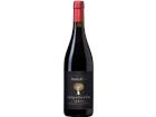 Antica Viti Valpolicella DOC Ripasso - die Weinbörse