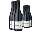 3+3-PAKET Mitolo »G.A.M.« Shiraz 2021