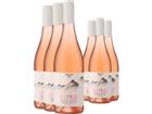 3+3-PAKET Bodegas Alceño Hoffman Monastrell Rosé 2024