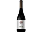 OZU by Otazu Premium Cuvée Navarra DO Bodega Otazu - 2024 - Oberer Ebro, Spanien