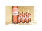 Regalia Rosé 2025 7.5L 9.5% Vol. Weinpaket aus Spanien