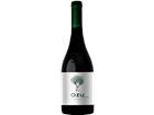 OZU by Otazu Chardonnay blanco Navarra DO Bodega Otazu - 2025 - Oberer Ebro, Spanien