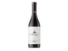 Merlot DOC Friuli 2023