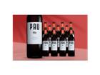 Pau Tinto 2023 9L 14% Vol. Weinpaket aus Spanien
