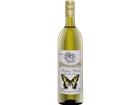 Schinznacher Riesling-Silvaner AOC WBG Schinznach - 2024 - Aargau, Schweiz