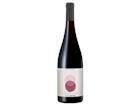 Pinot Noir 2025 - Sophie Schaal