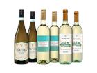 Pinot Grigio Weinpaket - die Weinbörse
