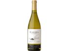 Catena Zapata Catena Chardonnay Jg. 2024