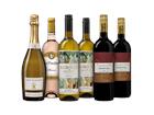 Weinpaket Festfavoriten - die Weinbörse