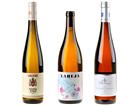 Weinpaket „Riesling für alle! (Und für alles.)“ zum DWI-OnlineSeminar am 1. Oktober 2026