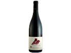 Clos de l Echelier 2023 - Domaine Roches Neuves Thierry Germain