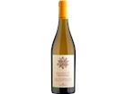 Belguardo V Vermentino Superiore 2022 - Tenuta Belguardo