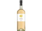 Sarotto Grappa di Barbera Elena Roberto Sarotto - Piemont, Italien
