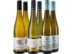 WirWinzer Select Pfalz Jungwinzer-Paket