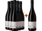 Weingut Aldinger 5+1 Paket 1492 Lemberger - Weingut Aldinger