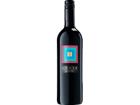 Cuvée Quattro (2022) - Gager - Rotwein aus dem Burgenland, Österreich