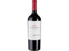 Cabernet Sauvignon (2023) - Kaiken - Rotwein aus Argentinien